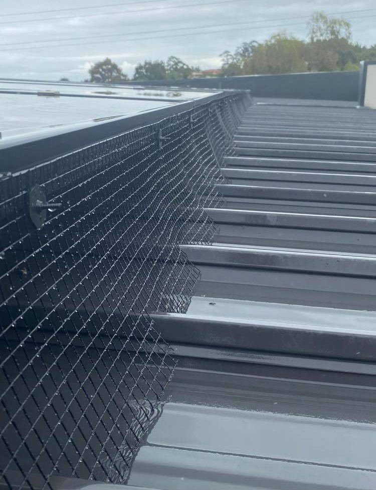 Solar Panel Bird Proofing | Envirosmart Pest Management